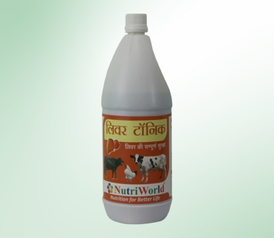     <p>A healthy liver is essential for the overall well-being of animals.</p>     <p>Nutriworlds Veterinary Liver Tonic is a great product for liver protection.</p>     <p>If your animal eats less, produces less milk, has difficulty conceiving, or falls sick frequently, it may have liver issues.</p>     <p>Liver problems can cause frequent, foul-smelling loose stools in animals.</p>     <p>This tonic helps in recovery after fever and improves overall health.</p>